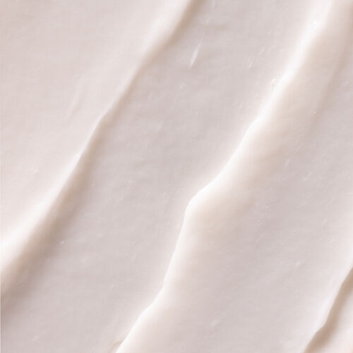 Smooth Perfection Conditioner - Responsibly Discounted | L'Or&eacute;al Partner Shop